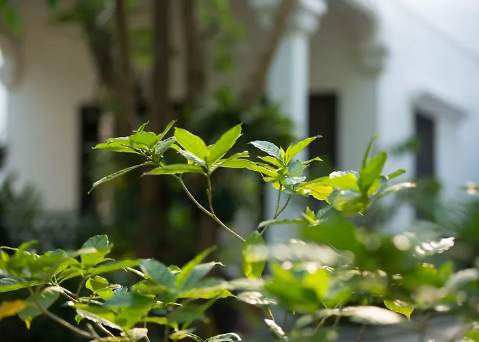 Hotel Sonalong Boutique Village & Siem Reap