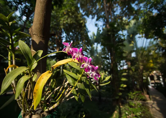 Hotel Sonalong Boutique Village &